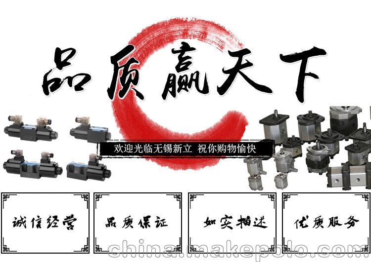 齿轮泵平键轴BAP2B15D30C2L10-B后进前出油口 - 2