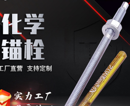 河北特盾现货供应化学锚栓锚固药剂螺栓 定型国标化学锚栓
