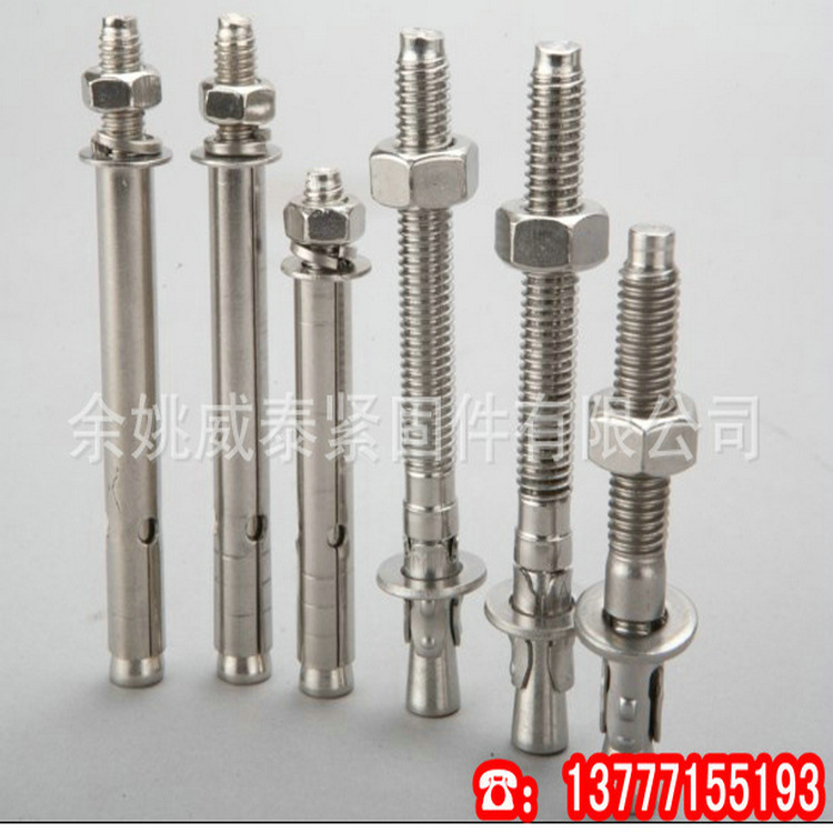 不锈钢车修壁虎M8X100 - 2