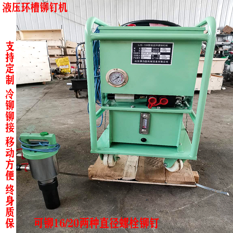 全自动环槽铆钉机-环槽铆钉铆接振动筛/西城 操作简单派力恩
