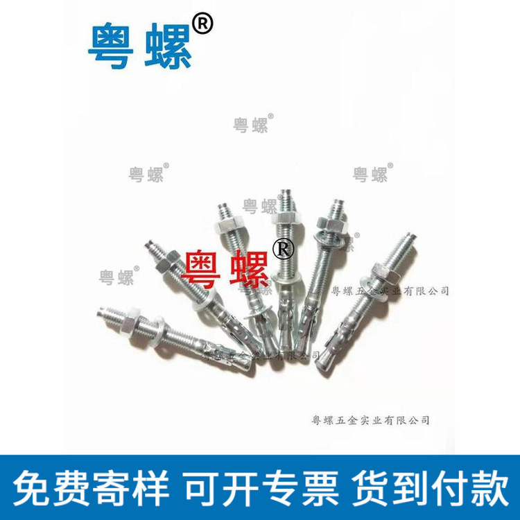佛山车修壁虎膨胀螺丝厂商 粤螺定做车修壁虎螺丝 电梯专用车修壁虎 - 2