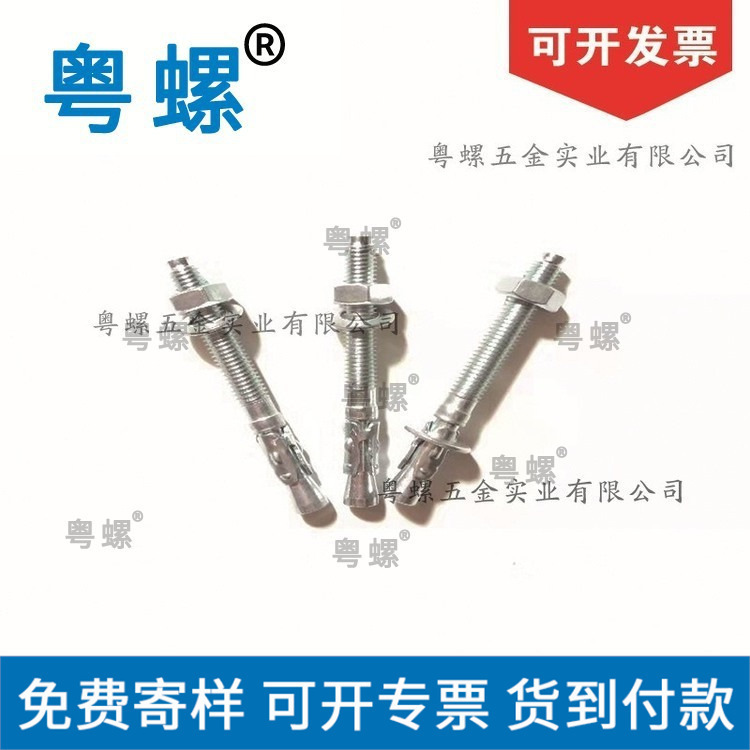 佛山车修壁虎膨胀螺丝厂商 粤螺定做车修壁虎螺丝 电梯专用车修壁虎 - 3