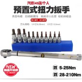修车扭矩扳手 汽车螺栓紧固扭力扳手 油底壳拆卸扭力扳手SGTG-100 实干