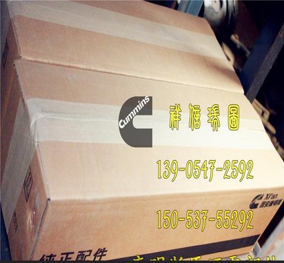 康明斯m11-c发动机 半圆键3030895