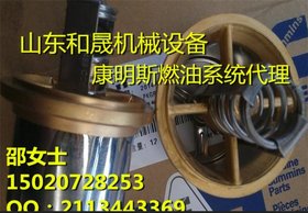 大量供应M11柴油发动机3892648抱箍