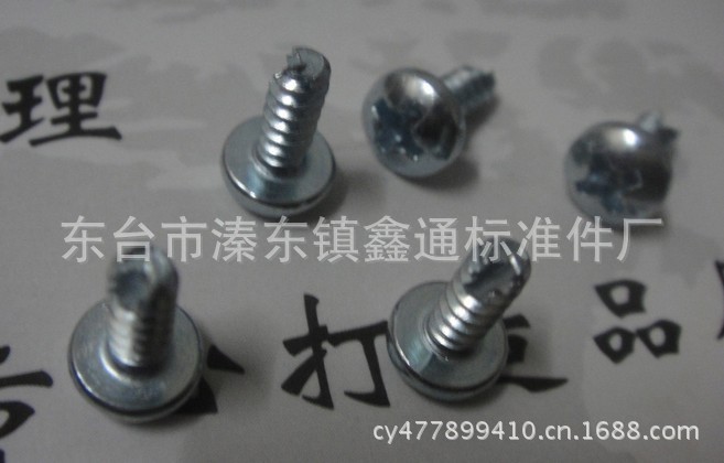 厂家大量现货供应各种规格盘头沉头半沉头自攻螺钉，非标定制 - 2