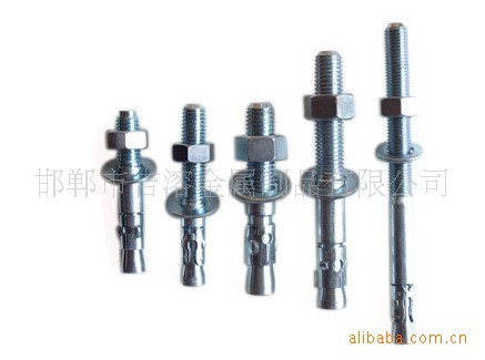 大量供应车修壁虎 无管膨胀 M6-M20 - 3