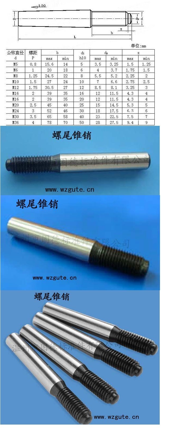 温州现货供应 专业供应螺尾锥销、圆柱销 - 2