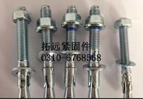 拓远现货供应蓝白锌车修壁虎