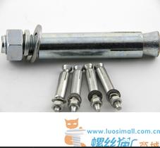 现货供应膨胀螺栓 304和碳钢蓝白锌 M5*50 M20*150 苏州螺栓