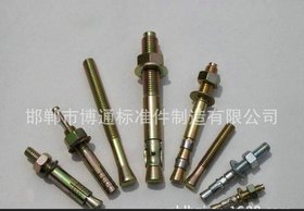 标准件厂家专业供应 膨胀螺栓 国标膨胀螺丝
