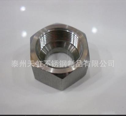 专业生产不锈钢各类螺母，定做非标六角螺母，螺母