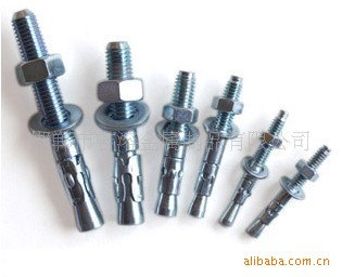 供应英制车修壁虎 无管膨胀 Wedge Anchors - 3