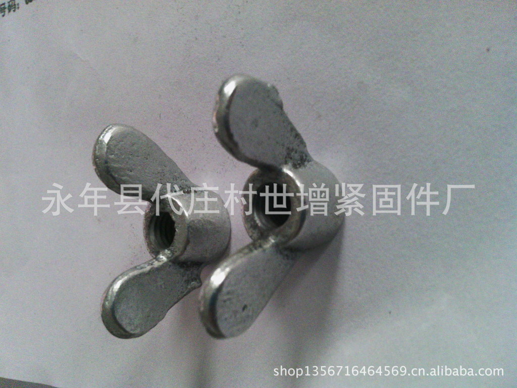 IMG_20121220_091322