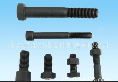 供应瑞杰M16*300六角螺栓 加长螺栓