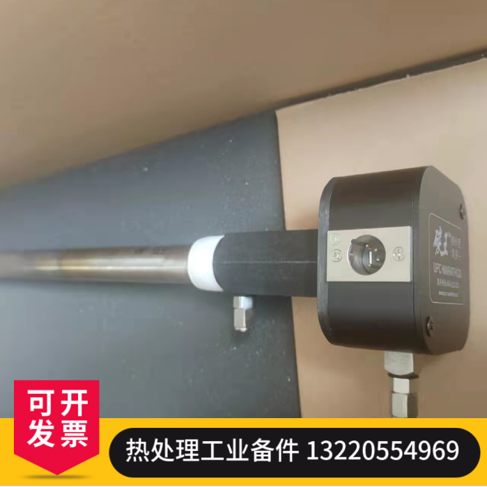 碳王氧探头 氧传感器 氧分析仪供应