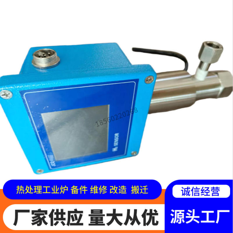 氢探头 中外合资氢传感器