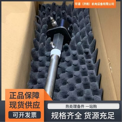 马拉松碳王氧探头 炉气氧分压 适配渗碳炉