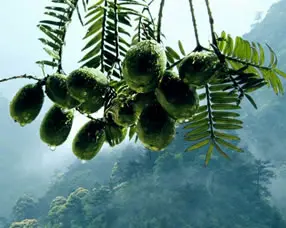LUGB系列流量计,饱和蒸气流量计,压缩空气流量计,高温气体流量计