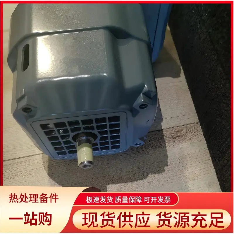 德国进口赛威电机 可定制多用炉电机 - 2