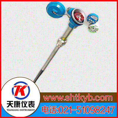 上海天康仪表 热电偶WRN-53A活络管接头热电偶 - 3
