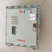 带按键可视窗防爆温控仪表箱 - 3