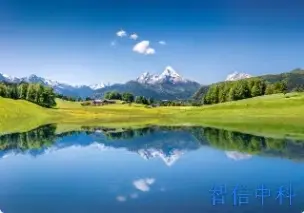 全球电机铁芯级进模市场销售模式与竞争前景研究报告2025-2031年
