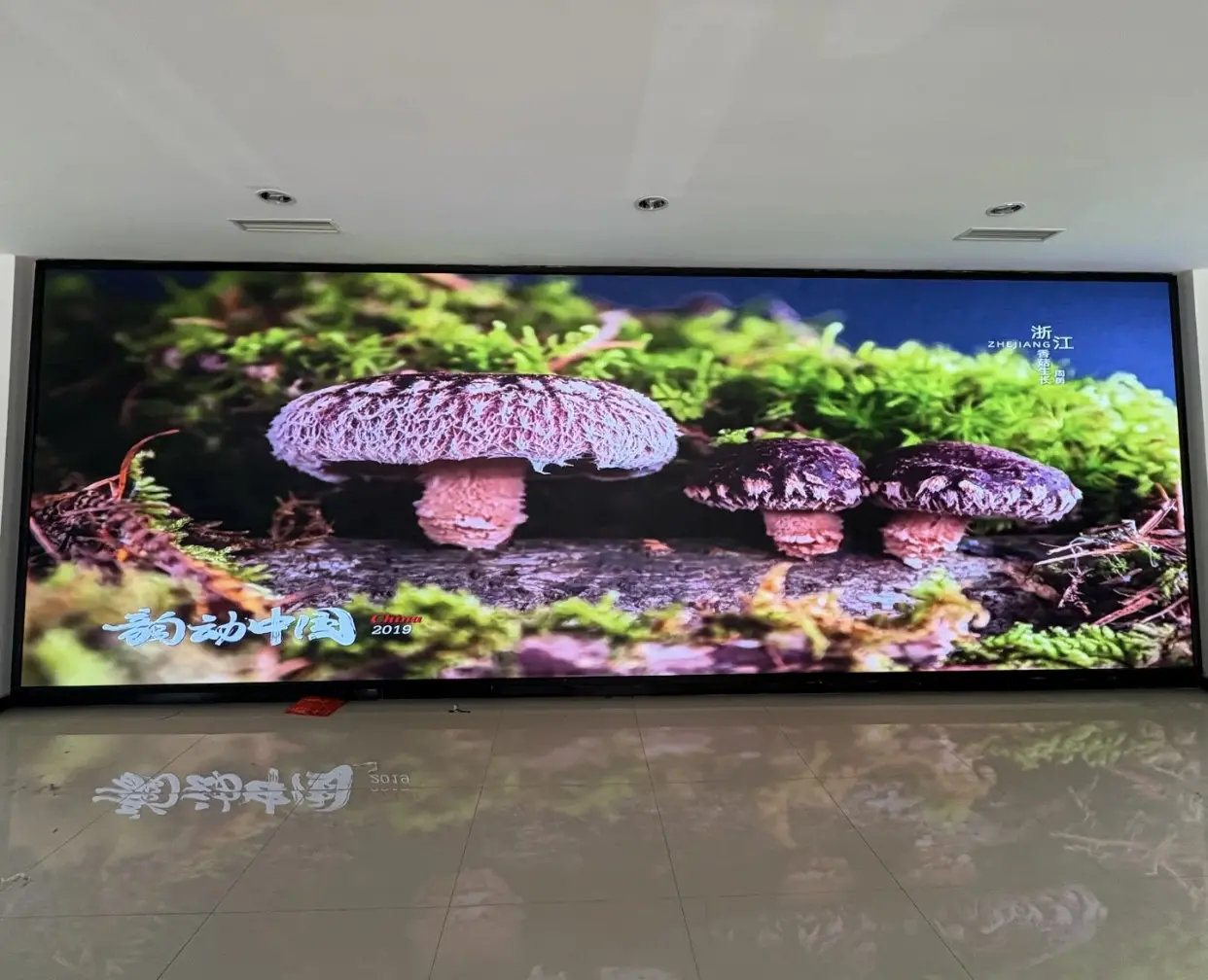 全新的恒流驱动技术,有效解决 LED 行业均匀性难题,保证 屏体低灰高一致性、高刷新的同时,实现低功耗、低温升。
