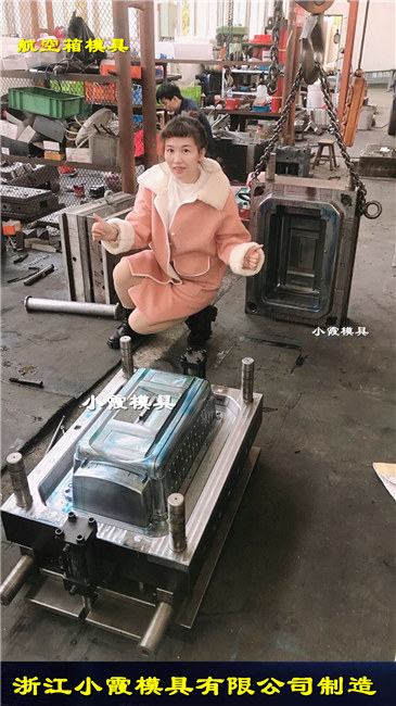 空运折叠航空猫砂盆注塑模具 - 4