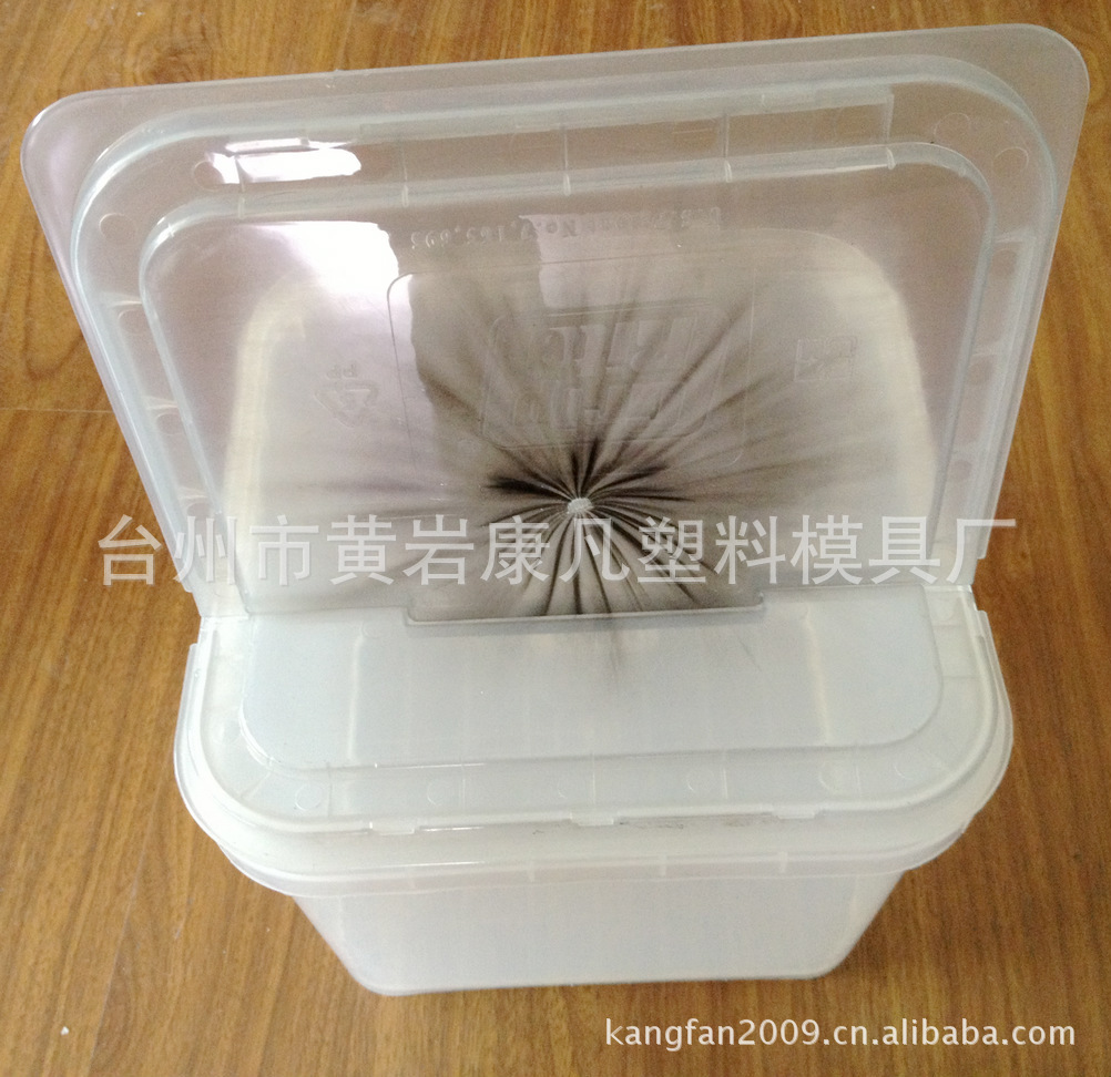 供应注塑模具10公斤方形塑料桶具 - 3