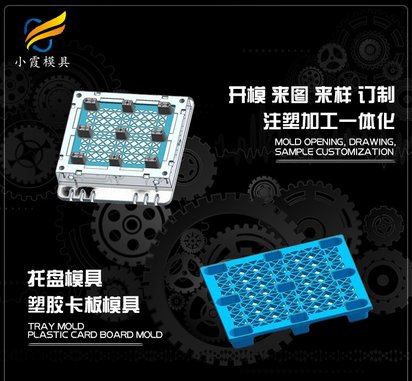 大型注塑模具制作厂#托盘模具公司#台州注塑模具制作厂