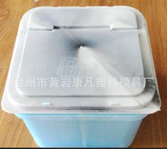 供应注塑模具10公斤方形塑料桶具