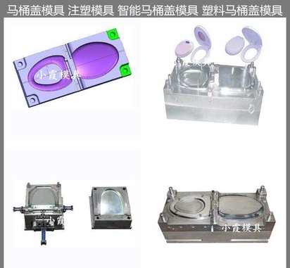 智能马桶盖模具大型注塑模具厂家