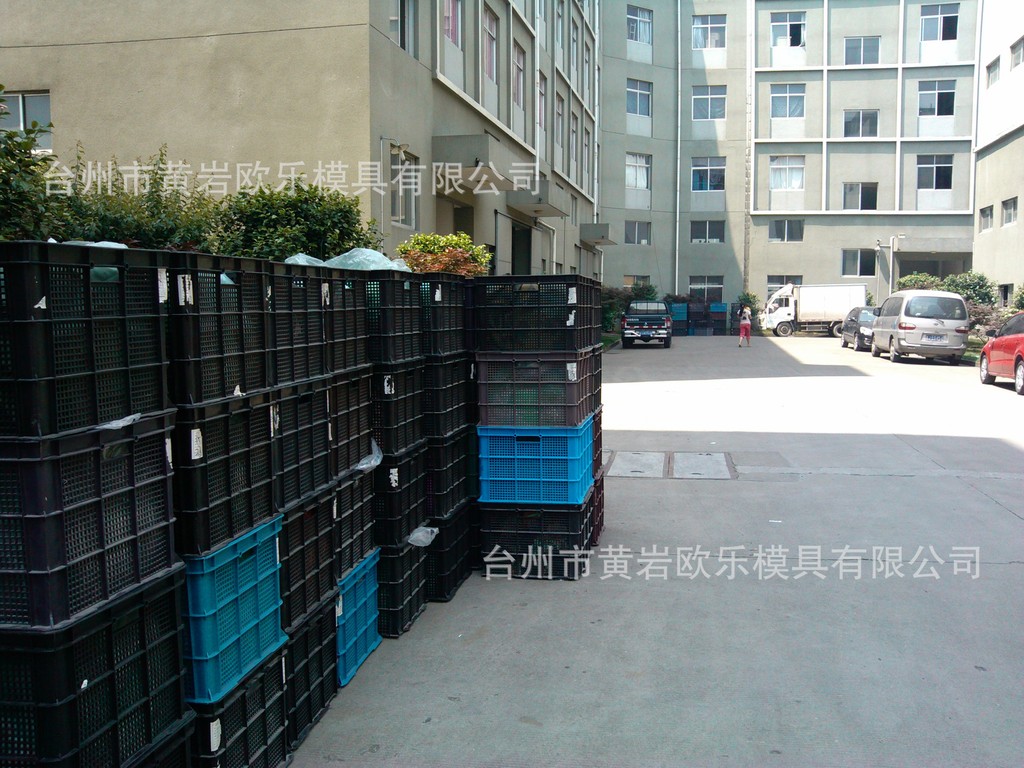 (专业品质)专业供应大型精密注塑模具 - 2