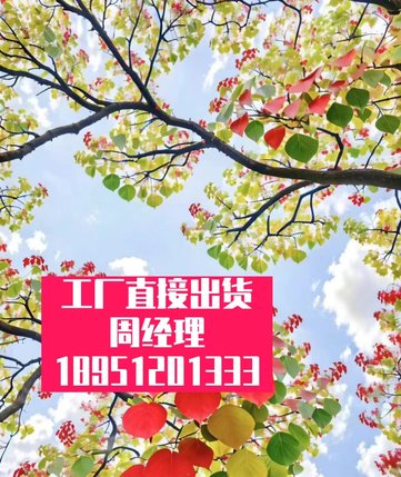 光纤输液瓶液位自动报-铝合金压铸模具柱塞喷-射式冷