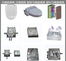 智能马桶盖模具黄岩大型注塑模具工厂