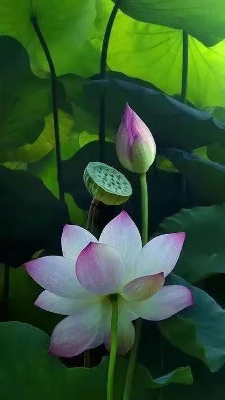 金属高分子材料高分子-复合材料模具离型表面-非硅封 - 2