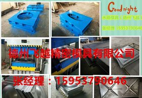 天津水箱模具设计 德州飞越