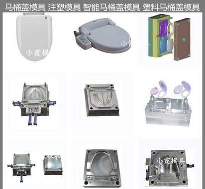 智能马桶盖模具黄岩大型注塑模具工厂