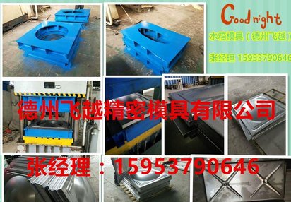 天津水箱模具设计 德州飞越