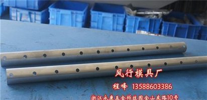 广东级进模,风行模具值得选择,级进模加工