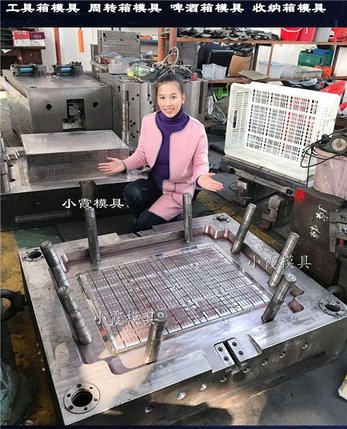 折叠塑料箱模具 冷藏箱注塑模具