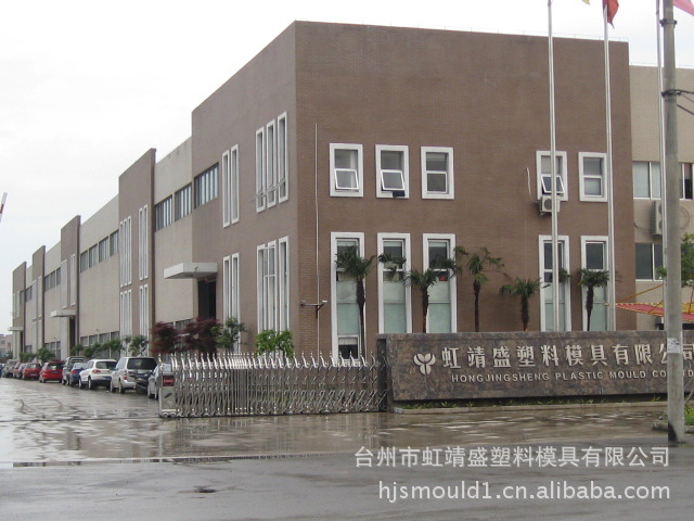 专业制造 高质量管胚模具 PET瓶坯模具加工 瓶胚模具 - 2