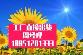 深长分段模具蝴蝶冲压-模具成型铣刀精密模具-