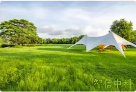 2025-2031年中国精密注塑模具市场发展规划及投资前景分析报告
