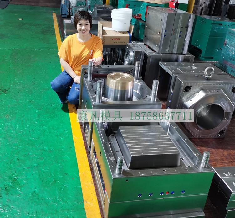 浙江注塑机模具 大型塑料模具 - 2