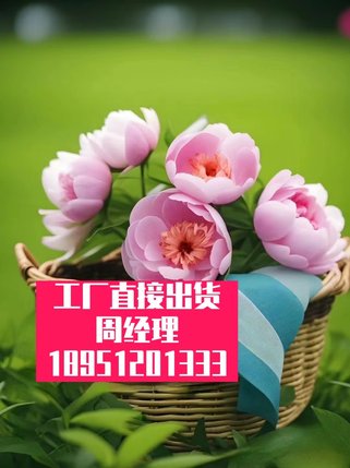 自动发泡模具高压微型-胶体气球-