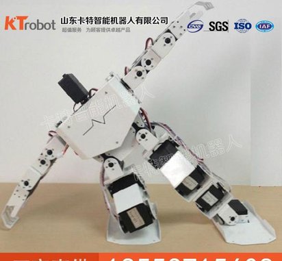 17由自度人形机器人结构 由自度人形机器人使用时间