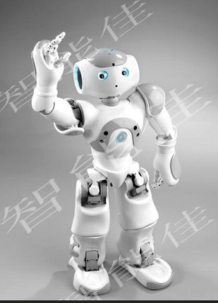 供应智能双足机器人NAO