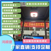 鸿顺捷 物流称重视觉分拣机 快递称重视觉分拣设备 称重分拣体积测量 - 4